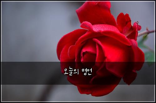오늘의 명언