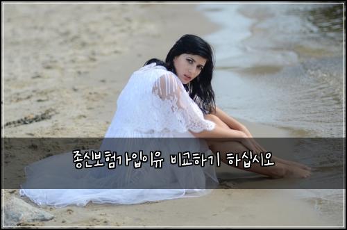 종신보험가입이유 비교하기 하십시오