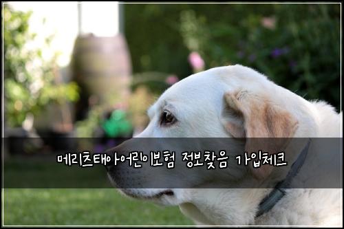 λ©λ¦¬μΈ νμμ΄λ¦°μ΄λ³΄ν μ 보찾μ κ°μ
체ν¬