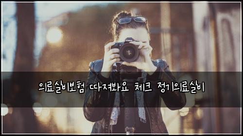 의료실비보험 따져봐요  체크 정기의료실비