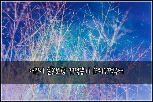 어린이 실손보험 견적뽑기  순위견적부터