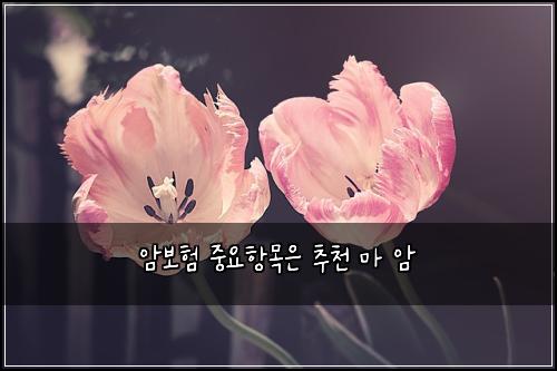 ์๋ณดํ ์ค์ํญ๋ชฉ์ ์ถ์ฒ ๋ง ์