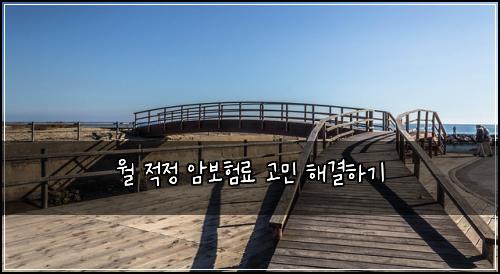 월 적정 암보험료 고민 해결하기