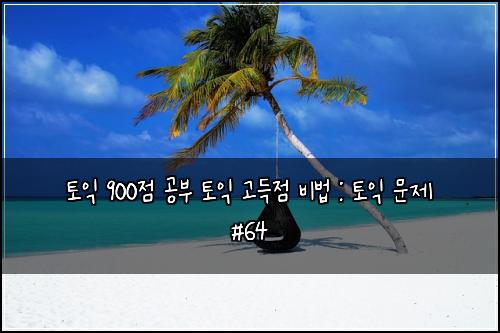 토익 900점 공부 토익 고득점 비법 : 토익 문제 #64