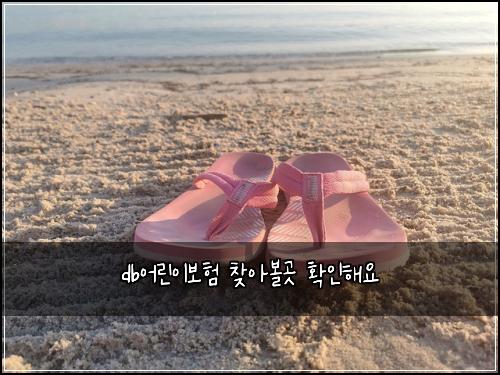 db어린이보험 찾아볼곳  확인해요