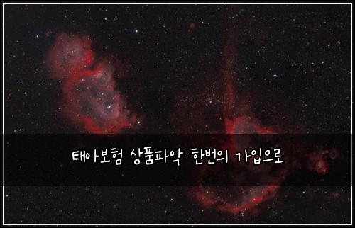 태아보험 상품파악  한번의 가입으로