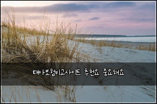 태아보험비교사이트 추천요 중요해요