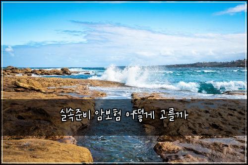 실속준비 암보험 어떻게 고를까