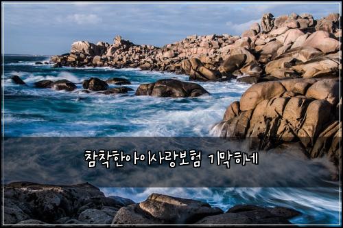 참착한아이사랑보험 기막히네 