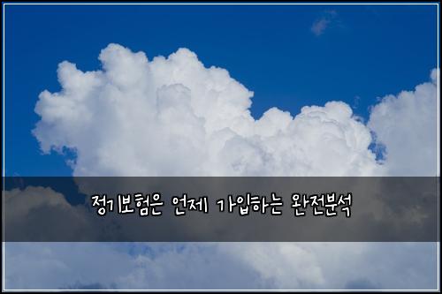 정기보험은 언제 가입하는 완전분석