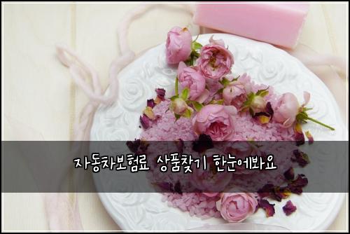 자동차보험료 상품찾기 한눈에봐요
