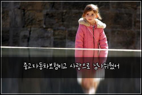 중고자동차보험비교 사랑으로 넘나쉬웠어