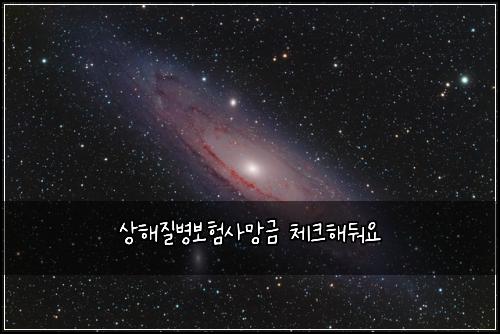 상해질병보험사망금 체크해둬요