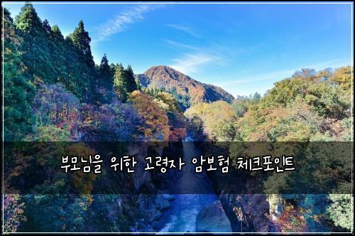 부모님을 위한 고령자 암보험 체크포인트