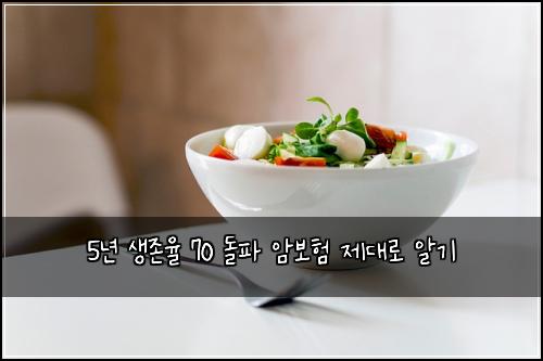 5년 생존율 70 돌파 암보험 제대로 알기