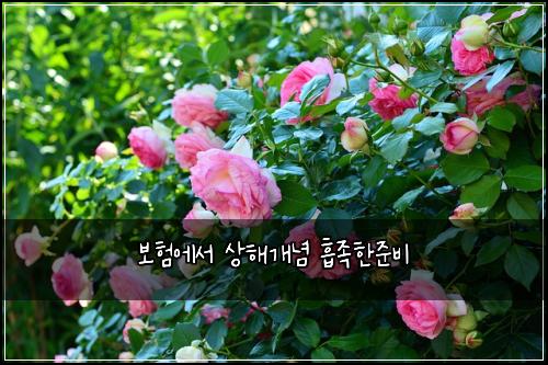 ๋ณดํ์์ ์ํด๊ฐ๋
ํก์กฑํ์ค๋น