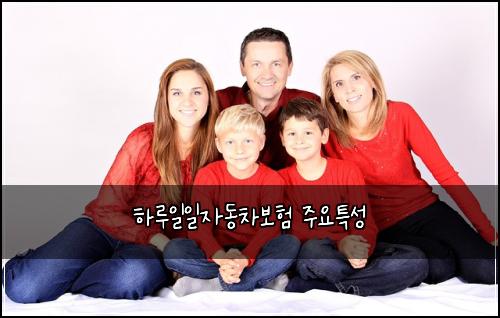 하루일일자동차보험 주요특성 
