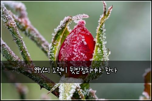 99%์ ๋
ธ๋ ฅ์ด ๋ท๋ฐ์นจ๋์ด์ผ ํ๋ค