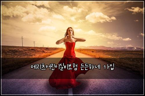 메리츠어린이실비보험 든든하네  가입
