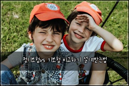 정기보험vs 기보험 비교하기 설계받는법