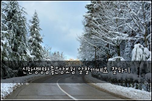 신한생명참좋은암보험 알찰꺼예요  잘하기