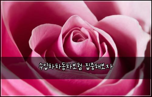 ์์
์ฐจ์ฐจ๋์ฐจ๋ณดํ ์ง์คํด๋ณด์