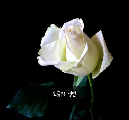 오늘의 명언