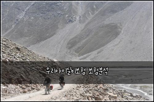 우리아이실비보험 보험분석 