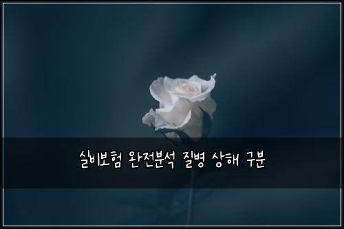 실비보험 완전분석  질병 상해 구분