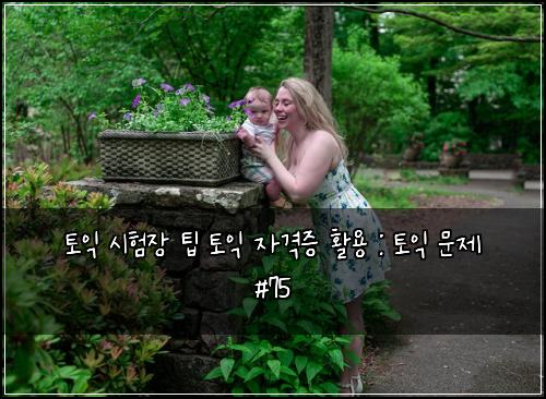 토익 시험장 팁 토익 자격증 활용 : 토익 문제 #75