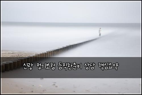 신랑 정기보험 듬직한준비  상담 핵심요약
