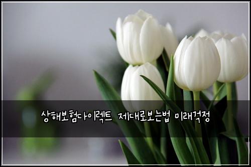 상해보험다이렉트 제대로보는법 미래걱정