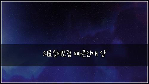 의료실비보험 빠른안내  암