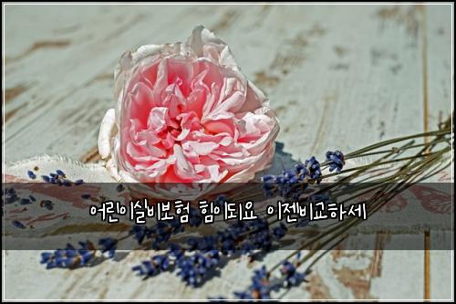 어린이실비보험 힘이되요  이젠비교하세
