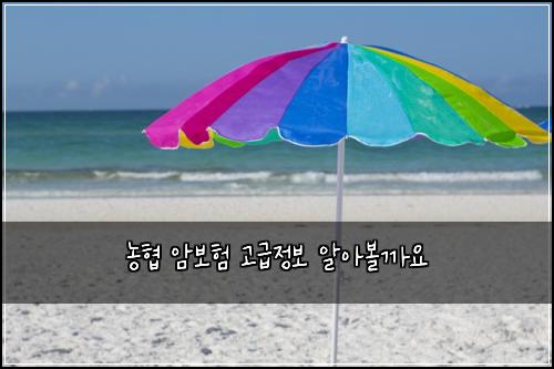 ๋ํ ์๋ณดํ ๊ณ ๊ธ์ ๋ณด ์์๋ณผ๊น์