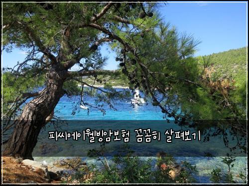 피씨에이웰빙암보험 꼼꼼히 살펴보기