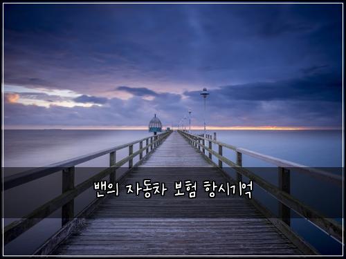 밴의 자동차 보험 항시기억 