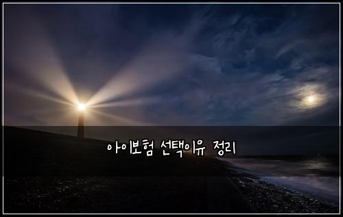 ์์ด๋ณดํ ์ ํ์ด์ ์ ๋ฆฌ