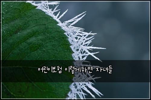 어린이보험 이렇게하면  자녀들
