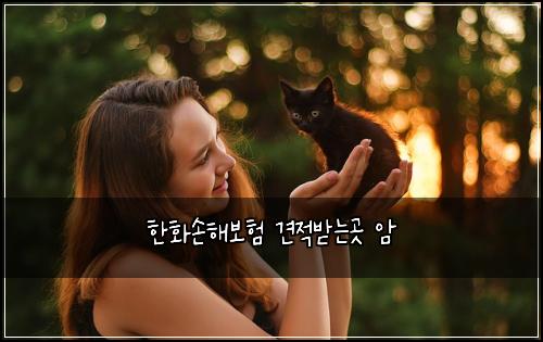 ํํ์ํด๋ณดํ ๊ฒฌ์ ๋ฐ๋๊ณณ ์