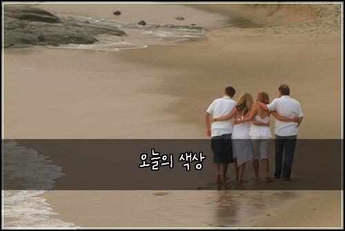 오늘의 색상