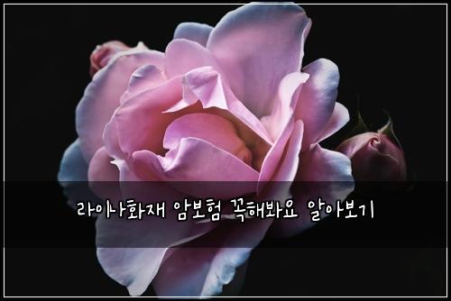 λΌμ΄λνμ¬ μ보ν κΌν΄λ΄μ μμ보기