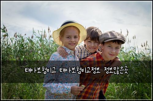 태아보험비교 태아보험비교정보 정보많은곳