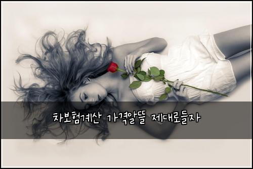차보험계산 가격알뜰 제대로들자