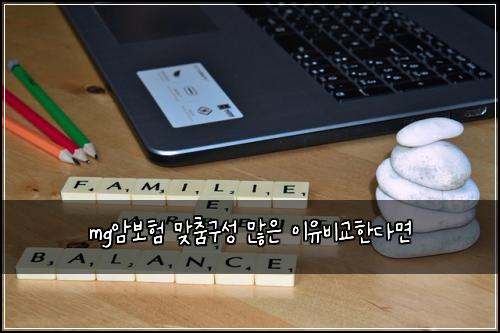 mg์๋ณดํ ๋ง์ถค๊ตฌ์ฑ ๋ง์ ์ด์ ๋น๊ตํ๋ค๋ฉด