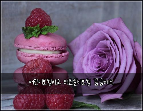 ์ด๋ฆฐ์ด๋ณดํ๋น๊ต ์๋ฃ์ค๋น๋ณดํ ๊ผผ๊ผผ์ฒดํฌ