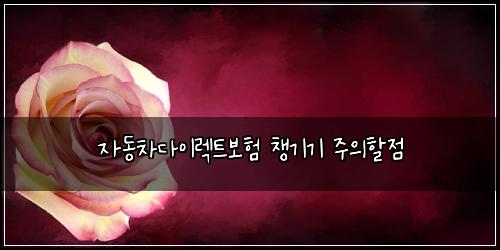 ์๋์ฐจ๋ค์ด๋ ํธ๋ณดํ ์ฑ๊ธฐ๊ธฐ ์ฃผ์ํ ์ 