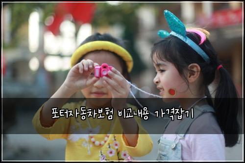포터자동차보험 비교내용  가격잡기