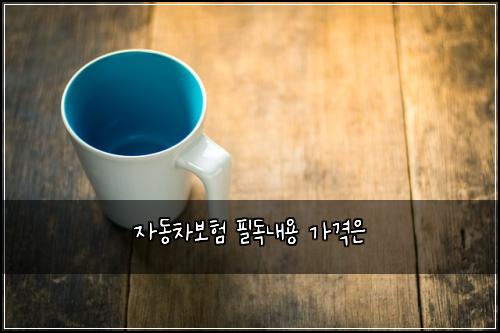 ์๋์ฐจ๋ณดํ ํ๋
๋ด์ฉ ๊ฐ๊ฒฉ์