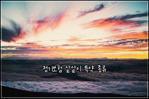 ์ ๊ธฐ๋ณดํ ์
์
์ด ํน์ฝ ์ข
๋ฅ